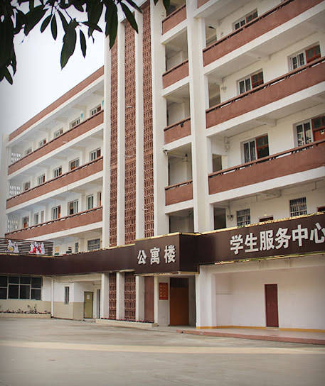 ����������ѵ